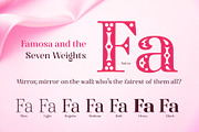 Famosa - Font Family, a Serif Font by TypeThis!Studio (Thumbnail 4 of 11)