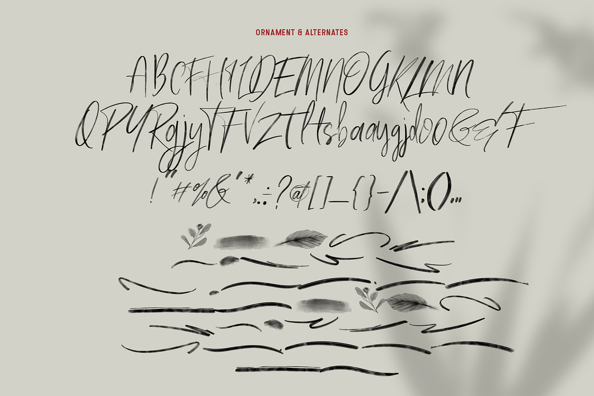 Milles Svg - Unique Handwriting, a Script Font by Fortunes Co (Photo 11 of 14)