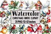Christmas Birds Clipart, an Illustration by Design Market (Thumbnail 1 of 4)