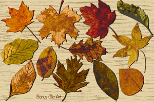 Autumn Leaves Procreate Stamp Set