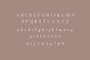 Milane - Classic Serif Font, a Serif Font by Creavora (Thumbnail 2 of 9)