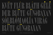 TT Espina, a Serif Font by TypeType (Thumbnail 9 of 15)