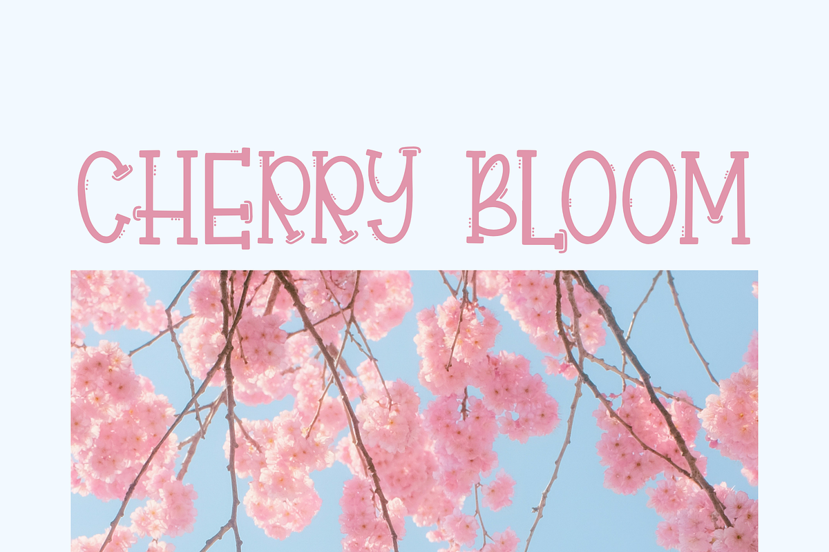 Rillwood, a Handwritten Font by Dm Studio (Photo 3 of 8)