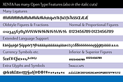Xenta Sans fonts, a Sans Serif Font by Wiescher Design (Thumbnail 4 of 8)