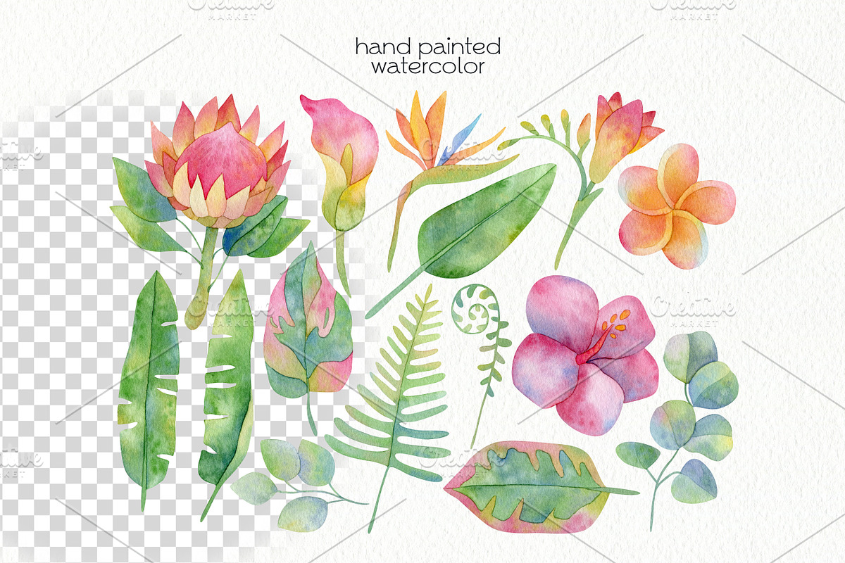 Watercolor Tropical Clipart, a Food Illustration by OllyKo Art (Photo 2 of 8)