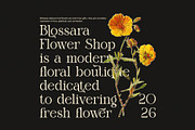 Quality Elegant Serif Font, a Serif Font by Perfectype (Thumbnail 2 of 8)