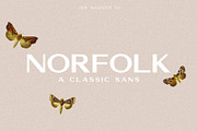Norfolk | A Traditional Sans, a Sans Serif Font by Jen Wagner Co (Thumbnail 1 of 15)