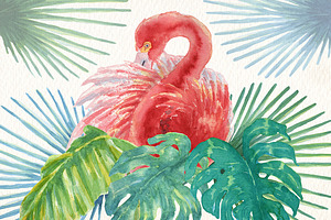 Toucans And Flamingos Watercolor Set