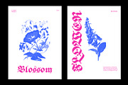 ED Begonia - Blackletter Typeface, a Blackletter Font by Emyself Design (Thumbnail 5 of 12)