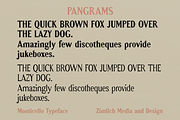Monticello - Heritage Serif Typeface, a Serif Font by ZimlichMediaDesign (Thumbnail 5 of 10)