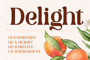 Corselust Modern Retro Serif, a Serif Font by timelesstype.co (Thumbnail 11 of 20)