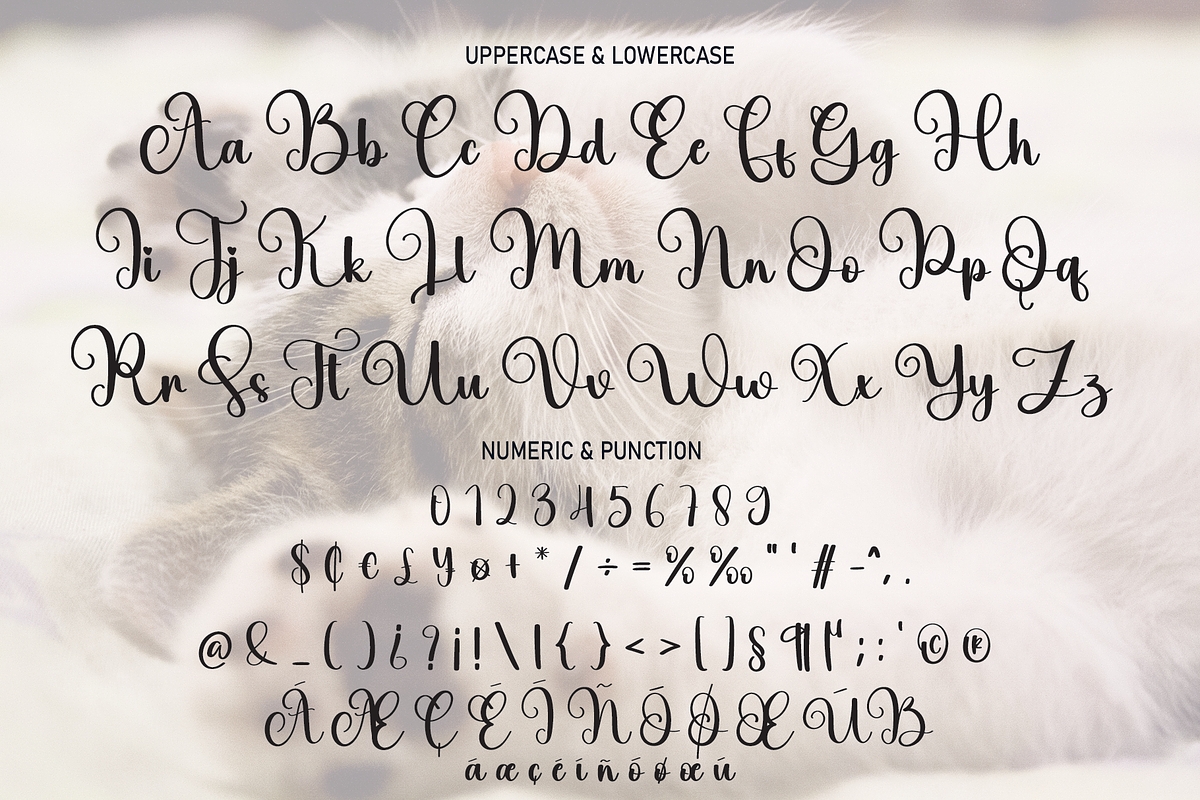 Billi | Script Font, a Script Font by Scratchones (Photo 6 of 8)