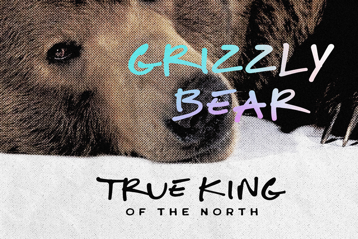 Silence Bear Font, a Font by BodigStd (Photo 8 of 9)