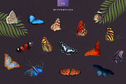 COLLAGE CREATOR «THE BEAUTY», an Object Graphic by WildStrawberry Magic (Thumbnail 15 of 30)