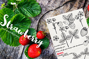 Vector garden strawberry, an Illustration by TashaDraw (Thumbnail 1 of 7)