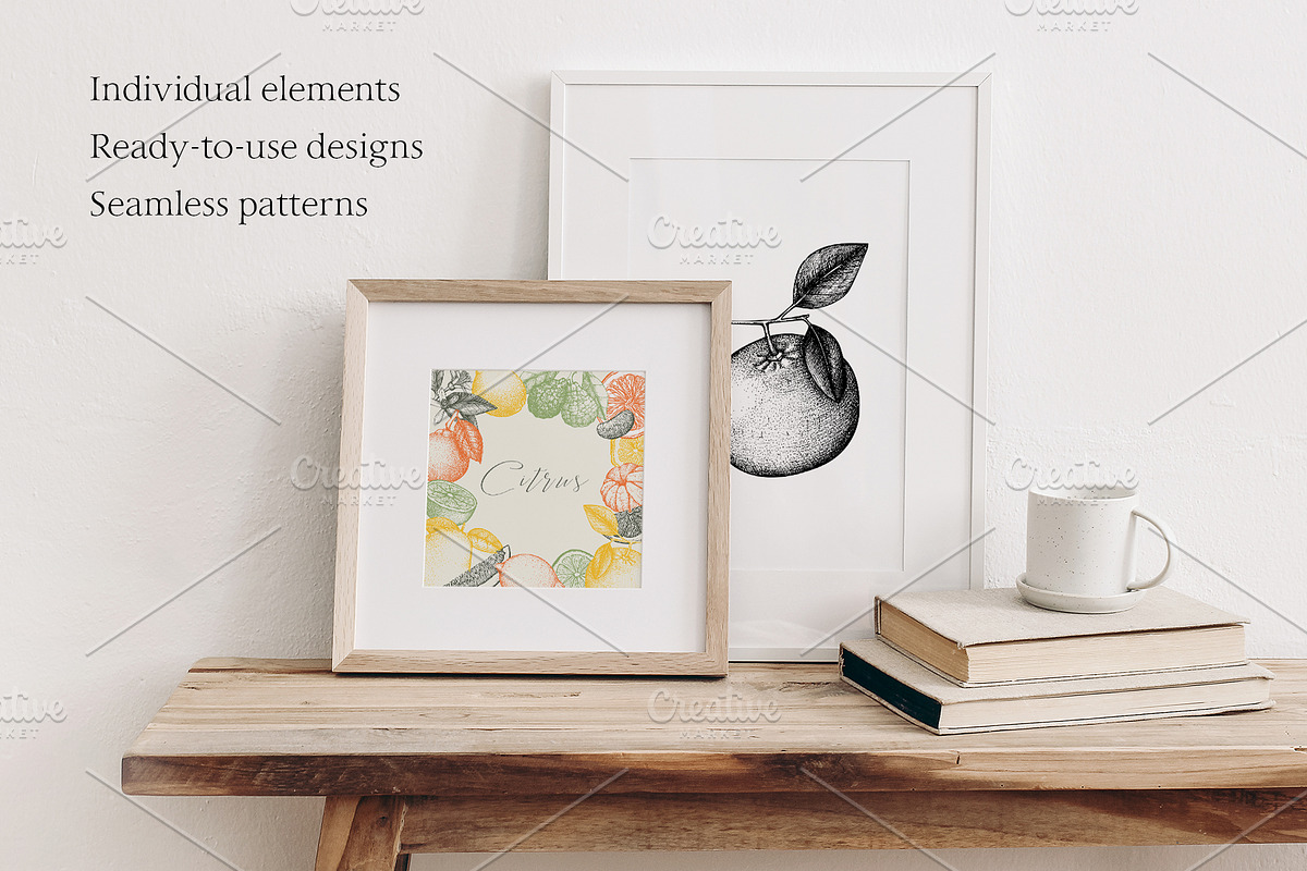 Vector Citrus Fruit Sketch Set, a Food Illustration by Yevheniia (Photo 2 of 6)