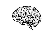 Brain Tree Knowledge Design Bundle, an Illustration by Gaye Art (Thumbnail 11 of 31)