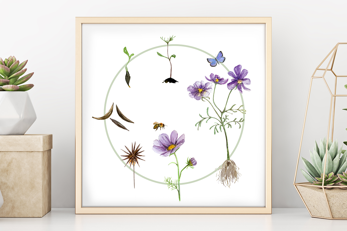 Big Life Cycle Bundle, an Education Illustration by Tati Bordiu (Photo 31 of 43)