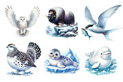Watercolor Arctic Animals Clipart, an Illustration by Dream Creation (Thumbnail 3 of 8)