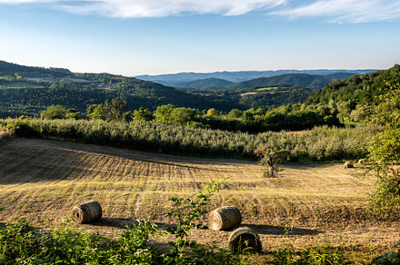 Round bales of hay, a Photo by wr7 Media