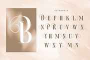 Bilqust - Elegant Serif, a Serif Font by Nirmana Visual (Thumbnail 6 of 9)
