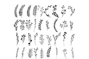 170 Wildflowers Line Art Botanicals, an Illustration by LifestyleCraftCo (Thumbnail 4 of 7)