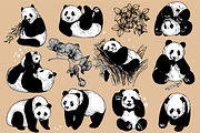 Panda, an Animal Illustration by Ecaterina Sciuchina (Thumbnail 3 of 6)