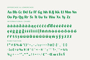 Agorey Dalling Groovy Retro Serif, a Serif Font by timelesstype.co (Thumbnail 18 of 20)
