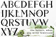 Blossom Font + EXTRAS, a Slab Serif Font by Chimerique (Thumbnail 10 of 14)