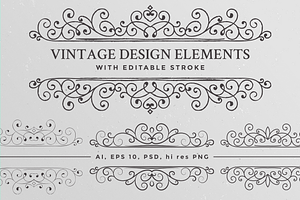 Vintage design elements set