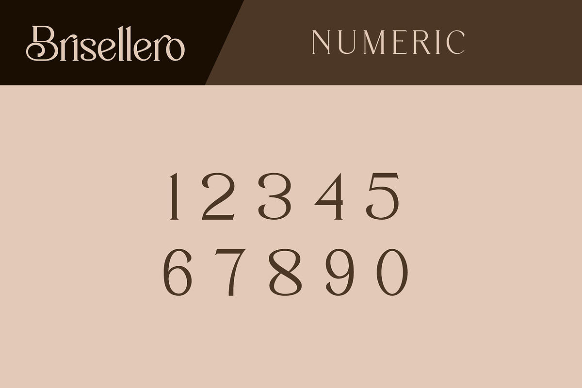 Brisellero, a Serif Font by Rishsketch (Photo 10 of 14)