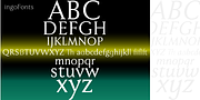 Faber Serif Pro, a Serif Font by ingoFonts (Thumbnail 2 of 9)