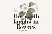 The Fongka Elegant Serif Font, a Serif Font by Perfectype (Thumbnail 3 of 9)