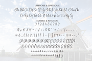 Amsterdam | Script Font, a Handwritten Font by Scratchones (Thumbnail 7 of 9)
