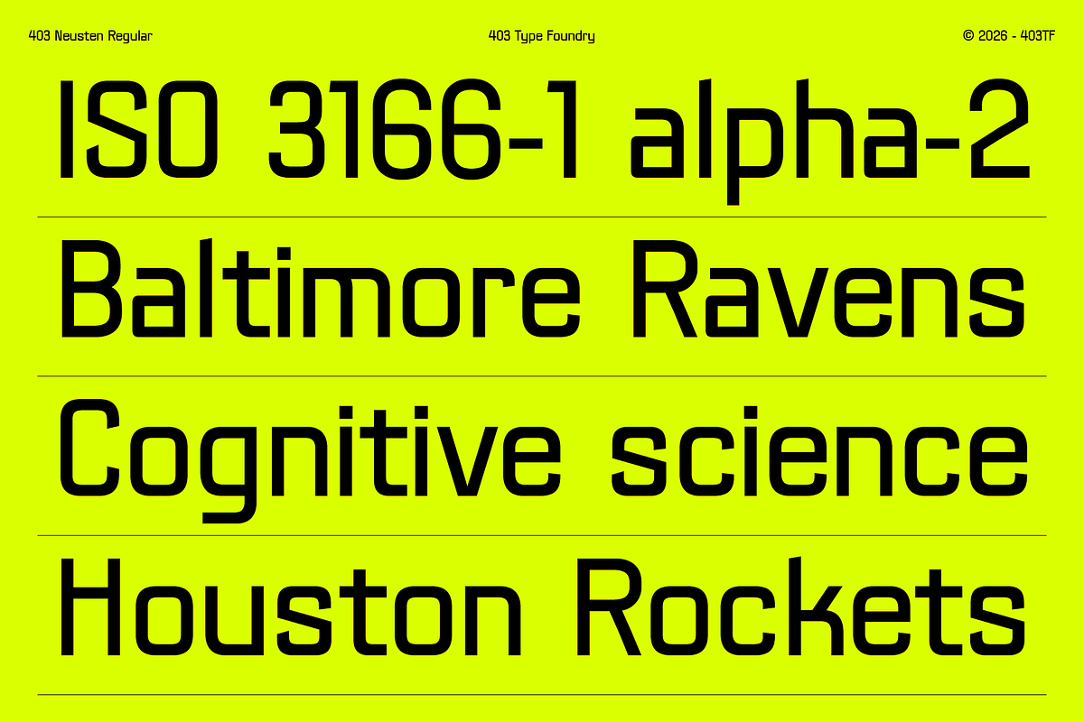 403 Neusten, a Sans Serif Font by 403 Type Foundry (Photo 4 of 16)