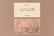 Fairyline - Dreamy Handmade Typeface, a Handwritten Font by BilberryCreates (Thumbnail 9 of 11)
