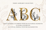 THORN Floral Gold Alphabet, a Decorative Illustration by Olga Begak Art & Design (Thumbnail 1 of 8)