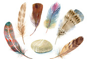 Watercolor vibrant feathers, a Background Graphic by Natasha Koltsova (Thumbnail 2 of 2)