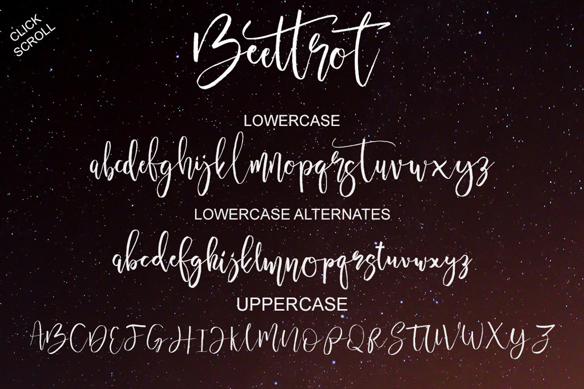 Beettrot, a Script Font by MissinkLab Studio (Photo 10 of 10)