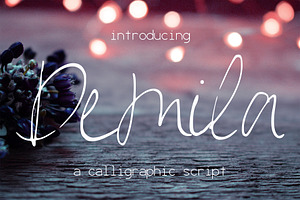 Demila Font, a Script Font by SophieSaxo