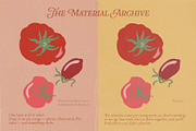 Paper Fabric Texture Overlays White, a Texture Graphic by TD fonts (Thumbnail 3 of 10)