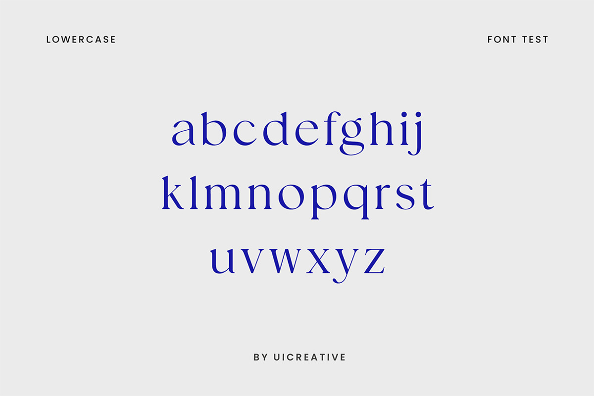 Distrampler Luxury Serif Font, a Serif Font by UICreative (Photo 12 of 13)