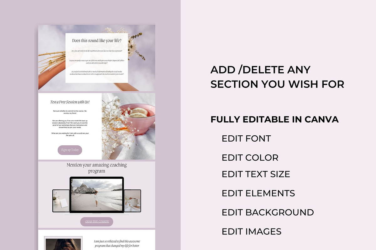 Canva Sales Page Template, a Landing Page Template by Deepa Template Studio (Photo 6 of 10)