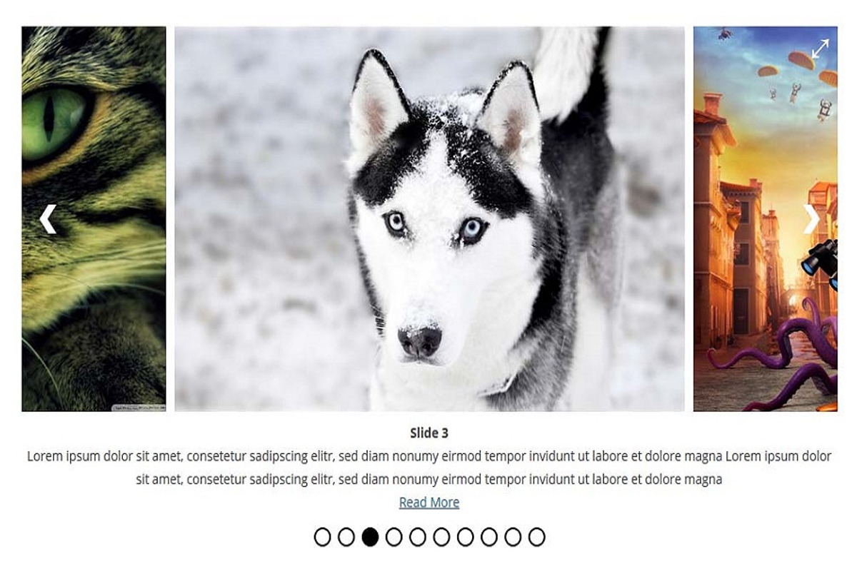 Ultimate Responsive Image Slider Pro preview 2
