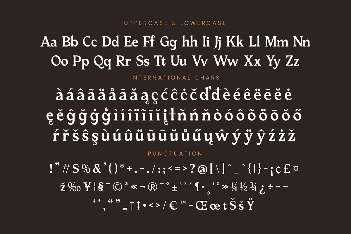 Katrine Nikolas Modern Serif, a Serif Font by timelesstype.co (Photo 19 of 20)