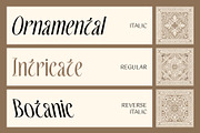 CS Athens – Elegant Font, a Sans Serif Font by Craft Supply Co. (Thumbnail 2 of 8)