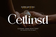 Cettinsd Elegant Serif Font Typeface, a Serif Font by Perfectype (Thumbnail 1 of 6)