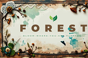 94 whimsical forest backgrounds, a Texture Graphic by pictures for you (Thumbnail 3 of 20)