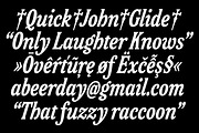 Friend Italic, a Serif Font by Simon Walker (Thumbnail 7 of 9)
