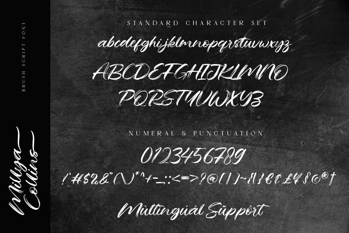 Millya Collins Brush Script Font, a Script Font by Ronny Studio (Photo 8 of 9)